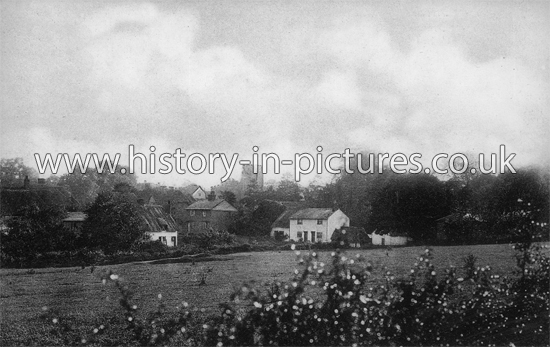 The Village, Clavering, Essex. c.1910